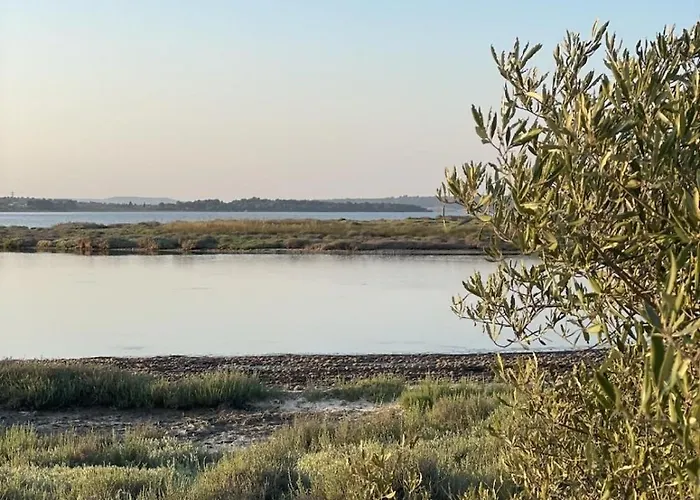 Apartamento Plain-pied 4 Pers - Piscine - Parking Fitou